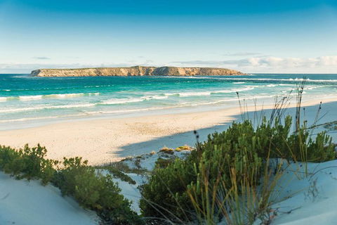 3 Day Port Lincoln And Coffin Bay Tour - Attractions Sydney 8