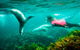 3 Day Port Lincoln And Coffin Bay Tour - thumb 12