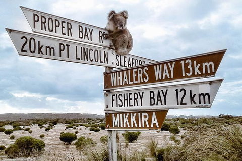 3 Day Port Lincoln And Coffin Bay Tour - Attractions Sydney 14