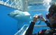 3 Day Port Lincoln And Coffin Bay Tour - thumb 11