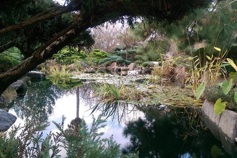 A Taste Of Adelaide And Hahndorf By Car Private Tour. - Attractions Sydney 3