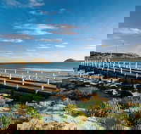 Victor Harbor and Southern Highlights from Adelaide Including Lunch - Attractions Sydney