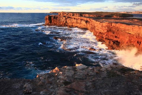 Southern Yorke Peninsula 3 Day SA Coastal Wilderness 4WD Adventure - Attractions Sydney 0