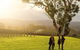 Full-Day Hahndorf And Adelaide Hills Hop-On Hop-Off Tour From Adelaide - thumb 4