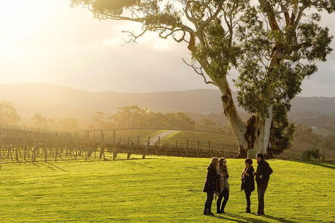 Full-Day Hahndorf And Adelaide Hills Hop-On Hop-Off Tour From Adelaide - Attractions Sydney 4