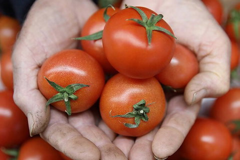 Adelaide Central Market & City EcoCaddy Tour - Attractions Sydney 7
