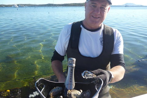 Oyster Farm And Tasting Tour With Hotel Pick-up And Return From Port Lincoln - Attractions Sydney 0