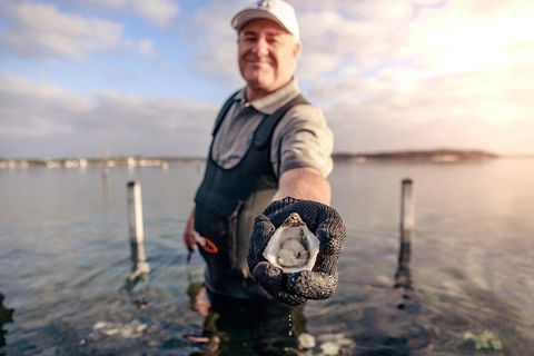 Oyster Farm And Tasting Tour With Hotel Pick-up And Return From Port Lincoln - Attractions Sydney 3