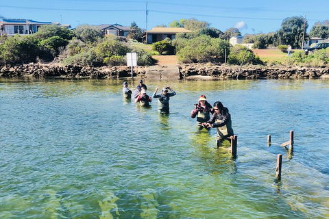 Oyster Farm And Tasting Tour With Hotel Pick-up And Return From Port Lincoln - Attractions Sydney 6