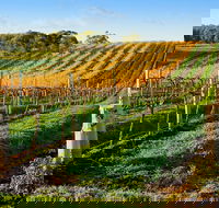 Victor Harbor with McLaren Vale Wine Region Tour from Adelaide - Attractions Sydney