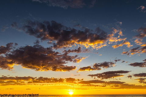Adelaide Ocean Safari - Twilight Safari - Attractions Sydney 1