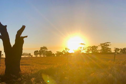 Fleurieu Explorer 3 Day 2 Night Cycle Camping Self Guided Tour - Attractions Sydney 4