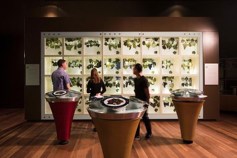 Australian Wine Discovery Tour With Tastings - Attractions Sydney 5