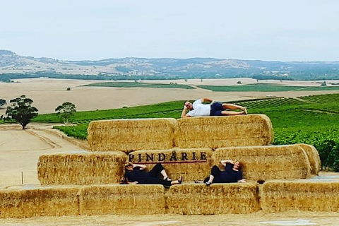 Barossa Wine Tasting Shared Tours - Attractions Sydney 6