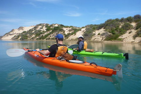 2-Day Deep Creek And Coorong Camping, Hiking And Kayaking Tour - Attractions Sydney 0