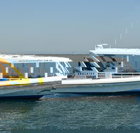 Adelaide Ocean Safari - Wild Dolphin Safari - Attractions Sydney