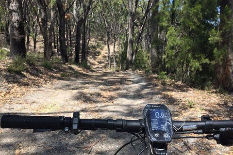 Mt Lofty Wine Wheels & Wildlife - Attractions Sydney 1