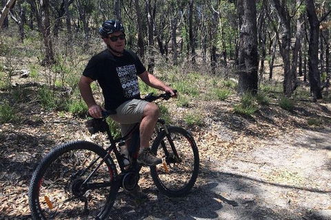 Mt Lofty Wine Wheels & Wildlife - Attractions Sydney 7