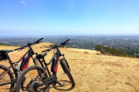 Mt Lofty Wine Wheels & Wildlife - Attractions Sydney 3