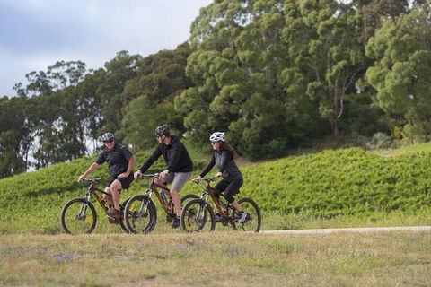 Mt Lofty Wine Wheels & Wildlife - Attractions Sydney 4