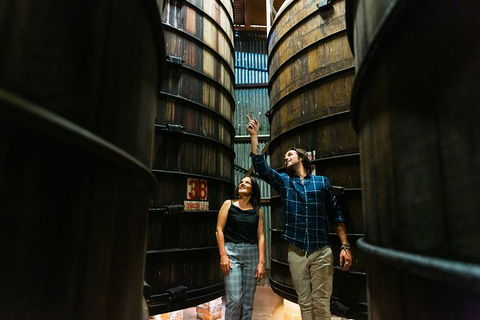 A Day Of Decadence At D'Arenberg - Attractions Sydney 1