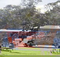 Monarto Safari Park Bus transfers from Adelaide City - Attractions Sydney