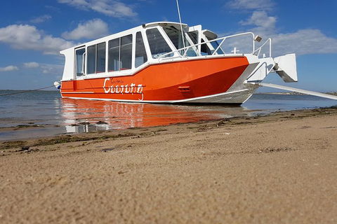 Coorong Highlights Cruise - Attractions Sydney 0