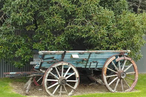 Barossa Valley Wine Tour (4Hour) - Attractions Sydney 5