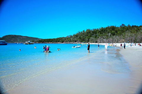 Whitehaven Beach Half-Day Cruises - Attractions Sydney 9