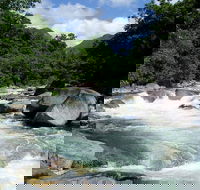 Daintree Rainforest Cape Tribulation Mossman Gorge in a day - Attractions Sydney