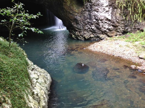Springbrook AndTamborine Rainforest Tour Incl Natural Bridge And Glow Worm Cave - Attractions Sydney 6