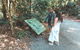 Springbrook AndTamborine Rainforest Tour Incl Natural Bridge And Glow Worm Cave - thumb 16