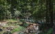 Springbrook AndTamborine Rainforest Tour Incl Natural Bridge And Glow Worm Cave - thumb 19