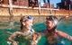 Moreton Island Day Trip (Kayak, Snorkel & Sandboard) Frm Brisbane Or Gold Coast - thumb 5