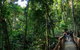 Full Day Daintree Rainforest And Mossman Gorge Tour - thumb 10