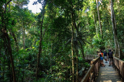 Full Day Daintree Rainforest And Mossman Gorge Tour - Attractions Sydney 10