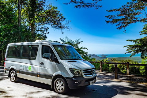 Full Day Daintree Rainforest And Mossman Gorge Tour - Attractions Sydney 6