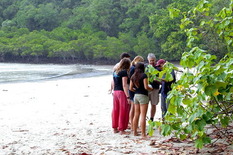 Full Day Daintree Rainforest And Mossman Gorge Tour - Attractions Sydney 7