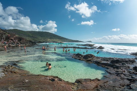 All-Inclusive 2-Day Fraser Island Tour - Attractions Sydney 5