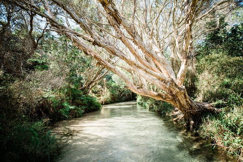 All-Inclusive 2-Day Fraser Island Tour - Attractions Sydney 11
