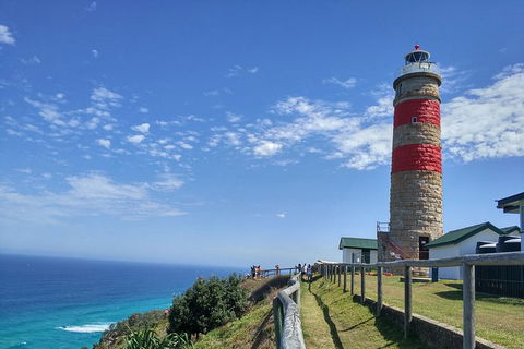 Cape Moreton Scenic 4WD Day Tour From Brisbane Or The Gold Coast - Attractions Sydney 1