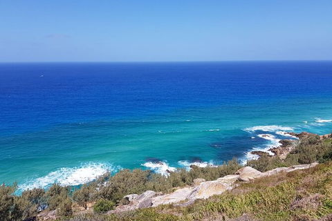 Cape Moreton Scenic 4WD Day Tour From Brisbane Or The Gold Coast - Attractions Sydney 7