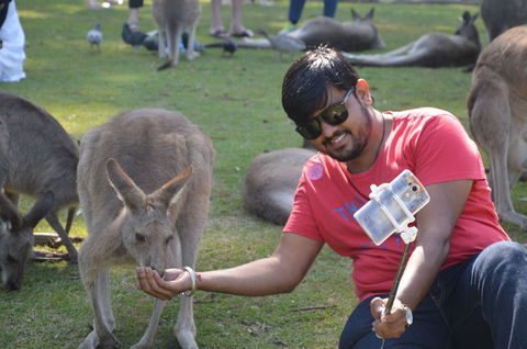 Crab Trip From Gold Coast - Attractions Sydney 13