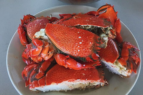 Crab Trip From Gold Coast - Attractions Sydney 28