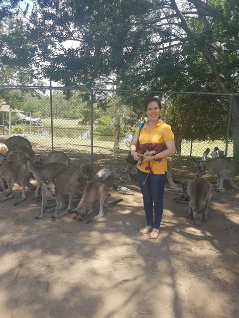 Lone Pine Koala Sanctuary Admission With Brisbane River Cruise - Attractions Sydney 17