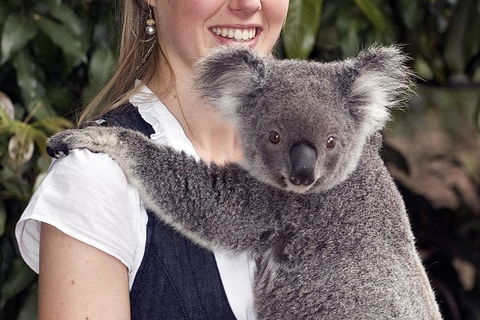 Lone Pine Koala Sanctuary Admission With Brisbane River Cruise - Attractions Sydney 1