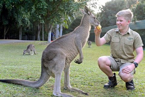 Small-Group Australia Zoo Day Trip From Brisbane - Attractions Sydney 6
