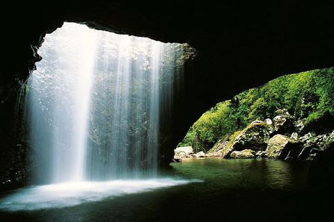 World Heritage Springbrook National Park Tour Including Natural Bridge - Attractions Sydney 2