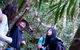 World Heritage Springbrook National Park Tour Including Natural Bridge - thumb 7
