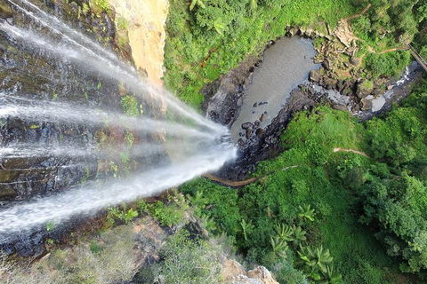 World Heritage Springbrook National Park Tour Including Natural Bridge - Attractions Sydney 6